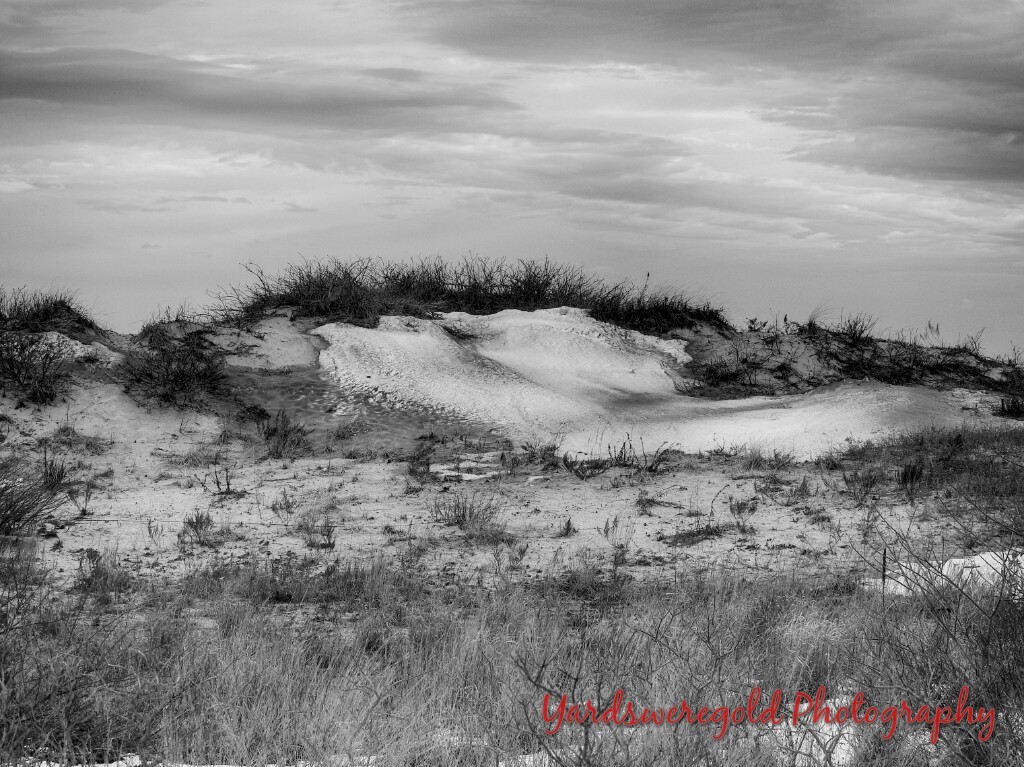 Dune n Snow BW HDR (1521 x 1140)_wm