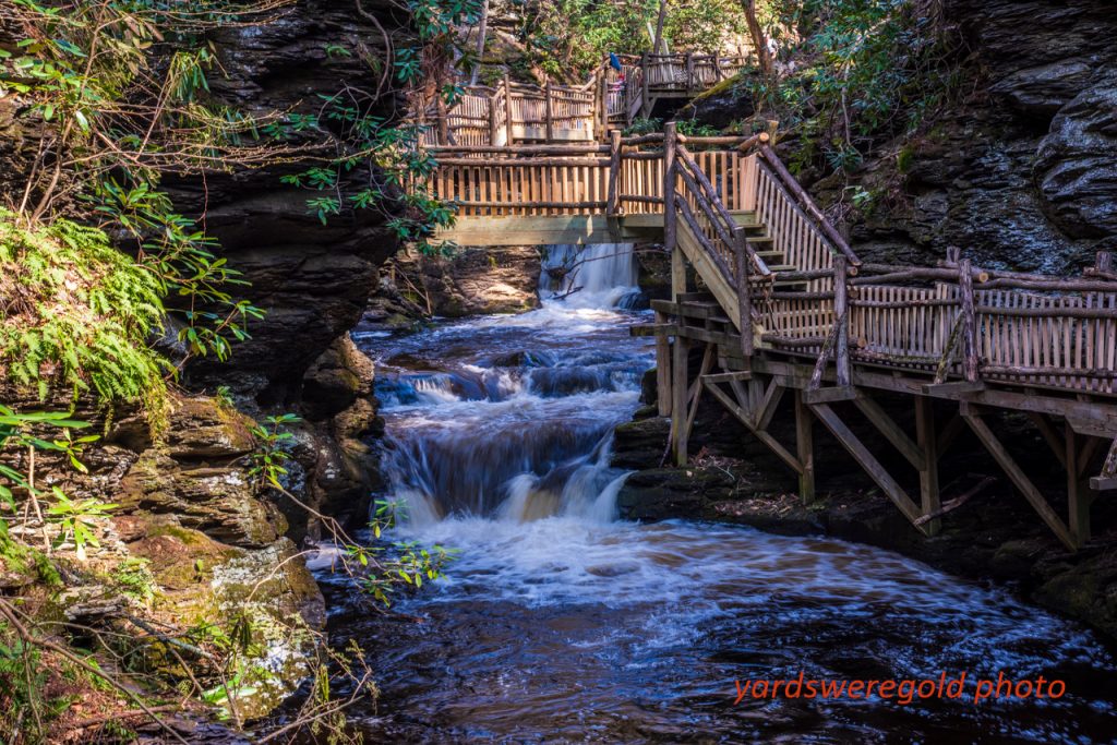 Bushkill Falls Walkways